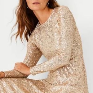 Vintage Sequin Dress